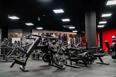 Xtreme Fitness Bytom Plejada